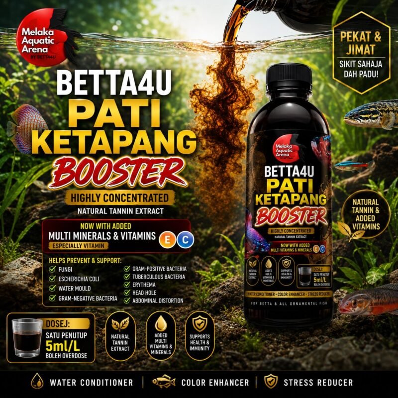 The Dark Side of the Betta Boom: Why Your Favorite Fish Needs More Than a Bowl 7 Betta4U Pati Ketapang Booster bottle with blackwater aquascape background and healthy Betta fish