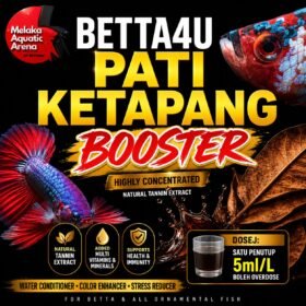 Betta4U Pati Ketapang Booster bottle with blackwater aquascape background and healthy Betta fish. Aquarium Fish Vitamins and Minerals