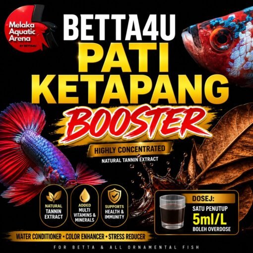 Betta4U Pati Ketapang Booster bottle with blackwater aquascape background and healthy Betta fish