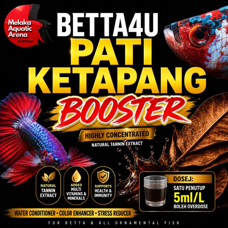 Betta4U Pati Ketapang Booster bottle with blackwater aquascape background and healthy Betta fish. Aquarium Fish Vitamins and Minerals