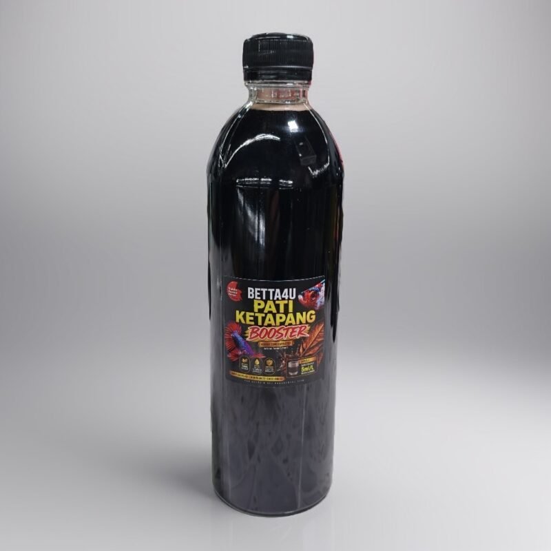 The Dark Side of the Betta Boom: Why Your Favorite Fish Needs More Than a Bowl 9 Betta4U Pati Ketapang Booster bottle with blackwater aquascape background and healthy Betta fish