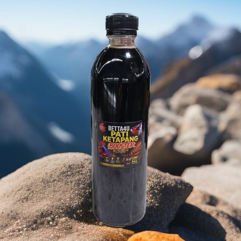 The Dark Side of the Betta Boom: Why Your Favorite Fish Needs More Than a Bowl 8 Betta4U Pati Ketapang Booster bottle with blackwater aquascape background and healthy Betta fish