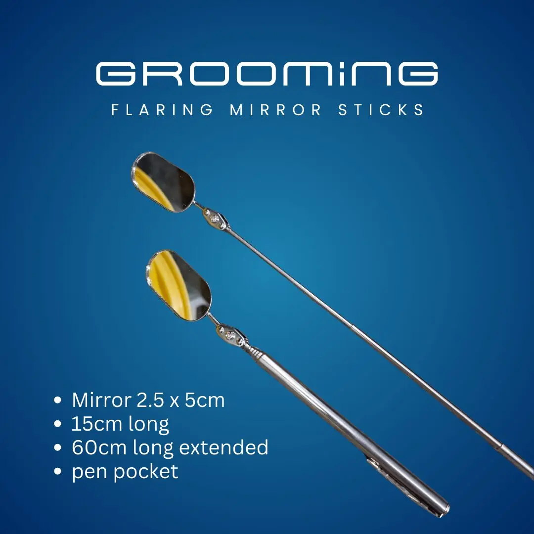 GROOMiNG Fish Flaring Mirror Stick 360° | Stainless Steel Betta Exercise Mirror 4 GROOMiNG Fish Flaring Mirror Stick 360° Stainless Steel Betta Exercise Mirror for Daily Fish Conditioning