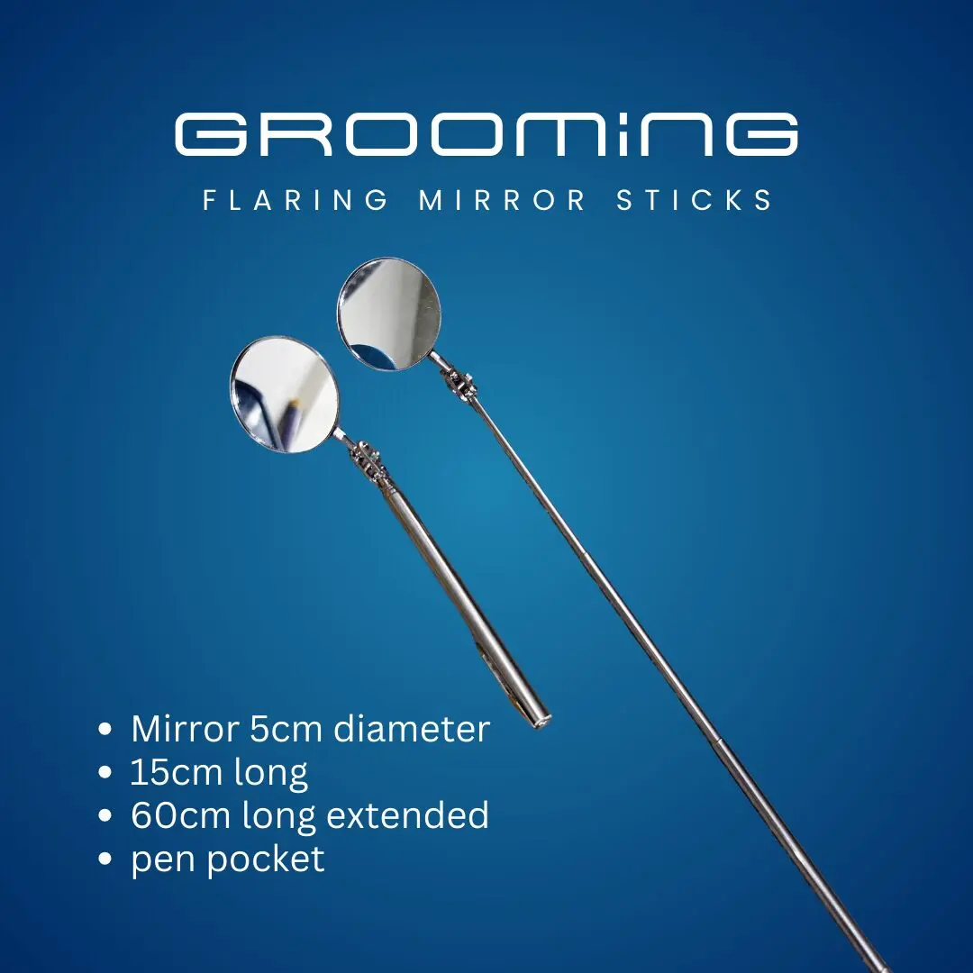 GROOMiNG Fish Flaring Mirror Stick 360° | Stainless Steel Betta Exercise Mirror 8 GROOMiNG Fish Flaring Mirror Stick 360° Stainless Steel Betta Exercise Mirror for Daily Fish Conditioning