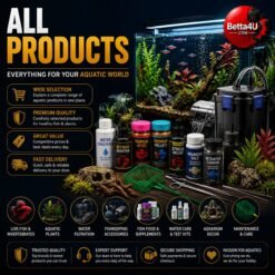 All Products