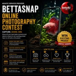 BettaSnap Online Photography Contest