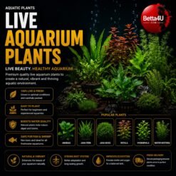 Live Aquarium Plants