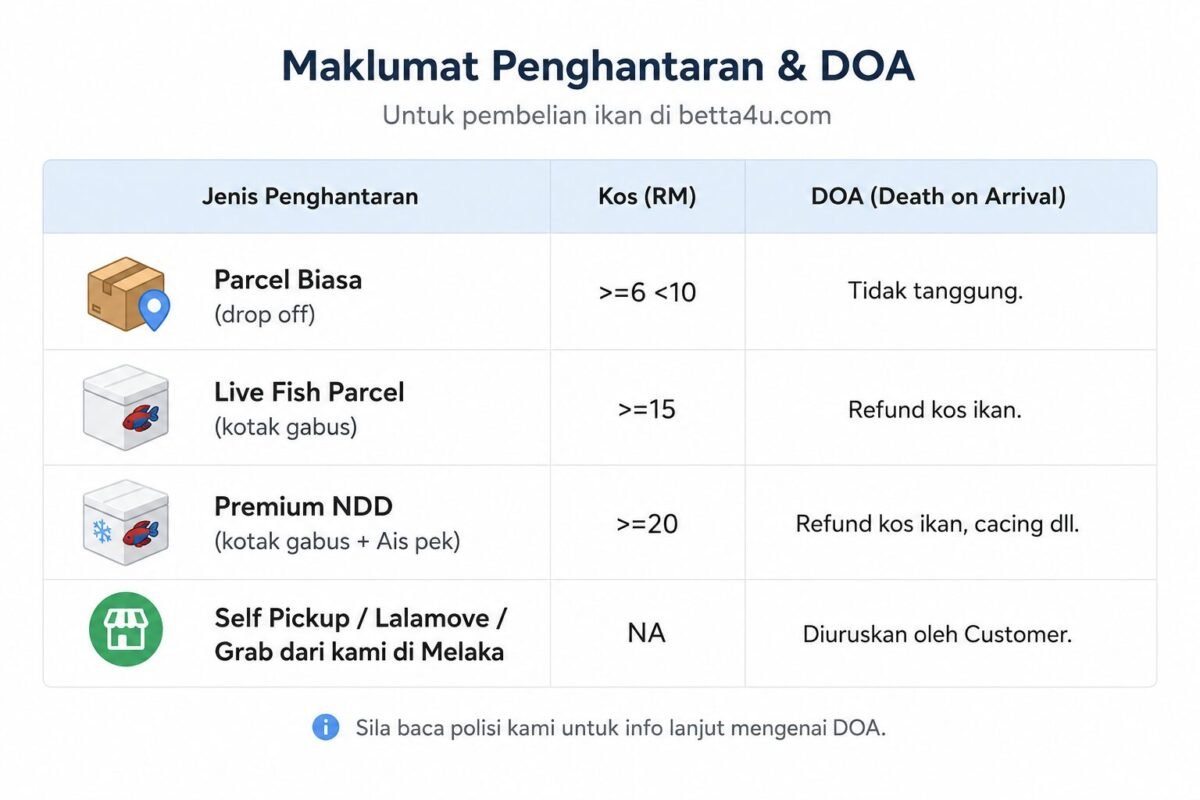 1605.1 Junior Multicolor DT Rosetail 12 Maklumat penghantaran dan DOA