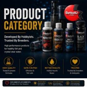 Product Category