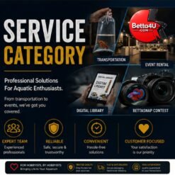 Service Category