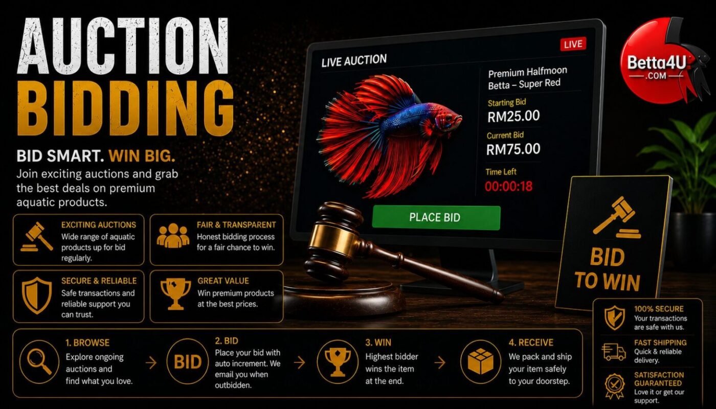 betta fish auction, auction summary page, online fish auction Malaysia, premium betta fish auction, auction winner dashboard, betta fish bidding system, live fish auction platform, betta auction results, auction payment page, bid history dashboard Social Media Hashtags