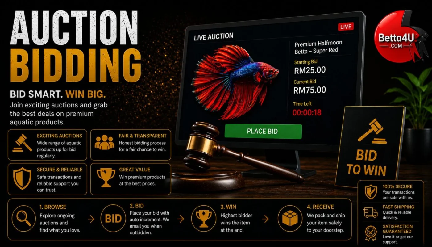 betta fish auction, auction summary page, online fish auction Malaysia, premium betta fish auction, auction winner dashboard, betta fish bidding system, live fish auction platform, betta auction results, auction payment page, bid history dashboard Social Media Hashtags