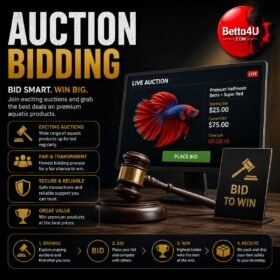 Auction Bidding by Betta4U
