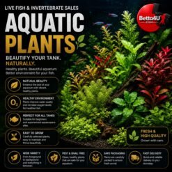 Aquatic Plants