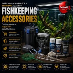 Fishkeeping Accessories