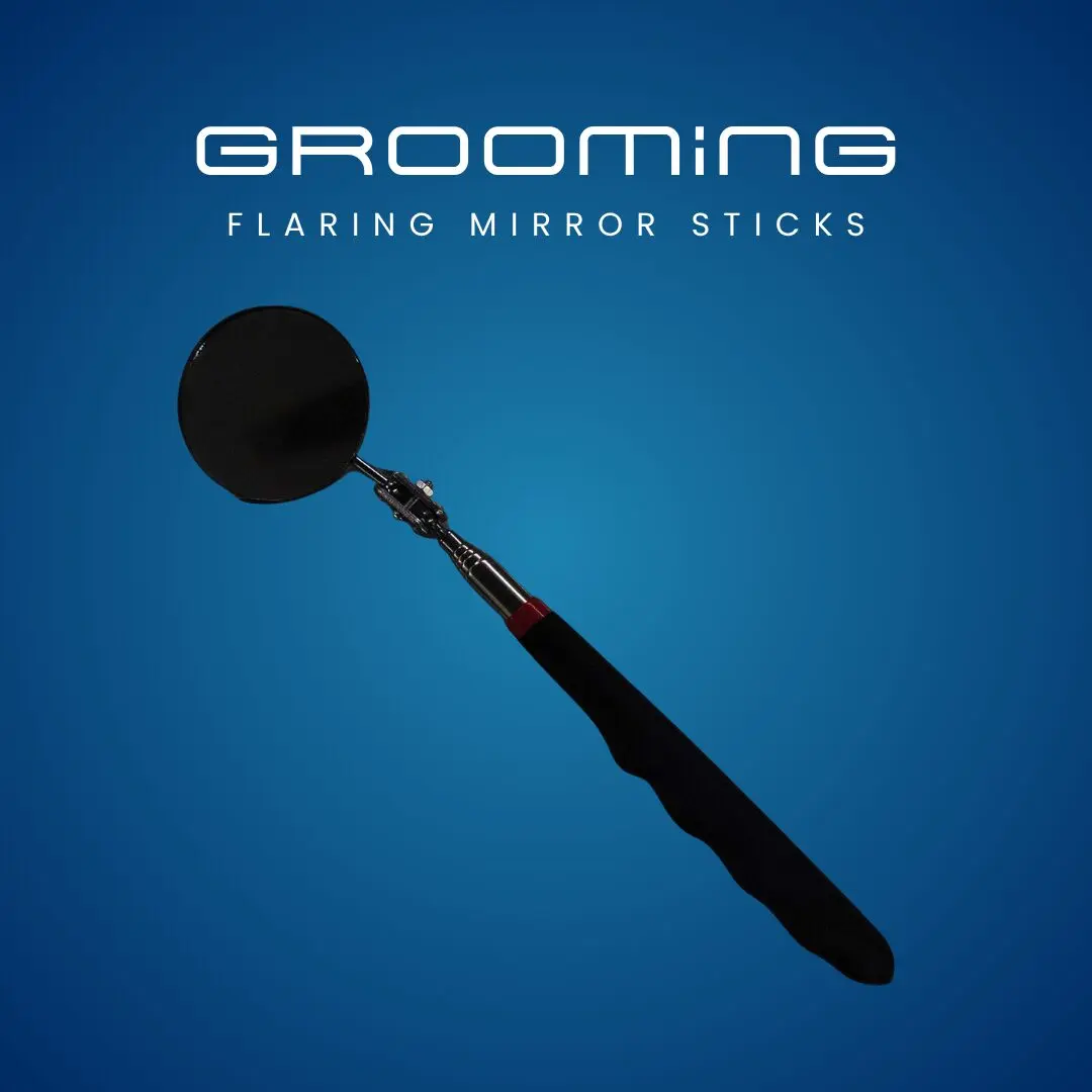 GROOMiNG Fish Flaring Mirror Stick 360° | Stainless Steel Betta Exercise Mirror 22 GROOMiNG Fish Flaring Mirror Stick 360° Stainless Steel Betta Exercise Mirror for Daily Fish Conditioning
