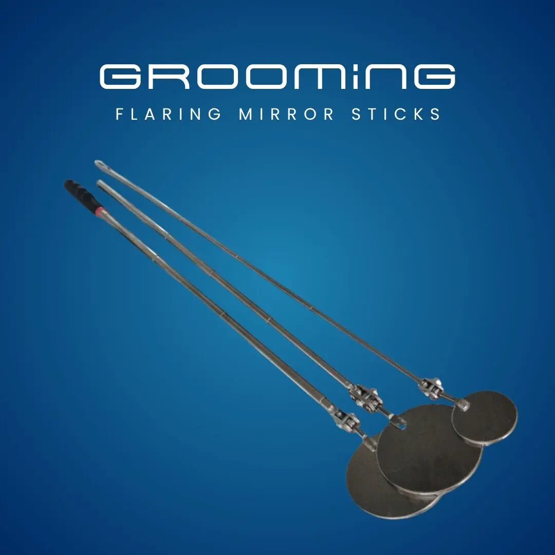 GROOMiNG Fish Flaring Mirror Stick 360° | Stainless Steel Betta Exercise Mirror 20 GROOMiNG Fish Flaring Mirror Stick 360° Stainless Steel Betta Exercise Mirror for Daily Fish Conditioning