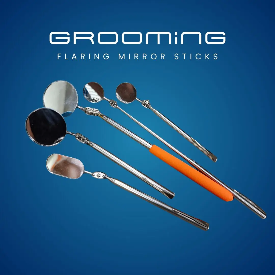 GROOMiNG Fish Flaring Mirror Stick 360° | Stainless Steel Betta Exercise Mirror 24 GROOMiNG Fish Flaring Mirror Stick 360° Stainless Steel Betta Exercise Mirror for Daily Fish Conditioning