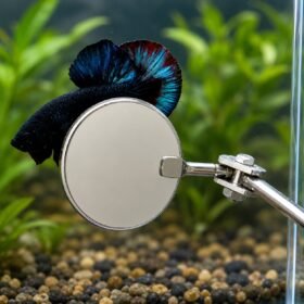 GROOMiNG Fish Flaring Mirror Stick 360° Stainless Steel Betta Exercise Mirror for Daily Fish Conditioning