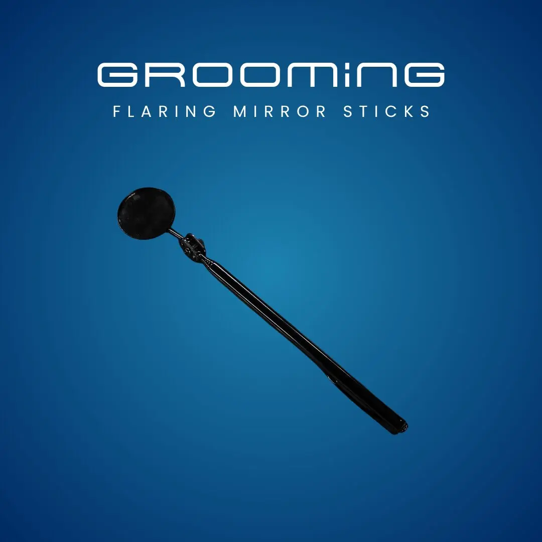 GROOMiNG Fish Flaring Mirror Stick 360° | Stainless Steel Betta Exercise Mirror 26 GROOMiNG Fish Flaring Mirror Stick 360° Stainless Steel Betta Exercise Mirror for Daily Fish Conditioning