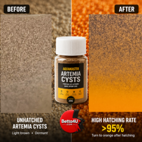 Premium AquaMaster Artemia Cysts 20g | Proven 90–95% Hatch Rate 25 Premium AquaMaster Artemia Cysts 20g