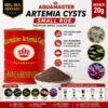 AquaMaster Artemia Cysts 20g
