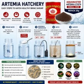 Create an image with aspect ratio 1:1. A guide for artemia hatchery.