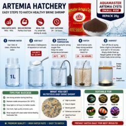 Alternative view of Premium AquaMaster Artemia Cysts 20g | Proven 90–95% Hatch Rate