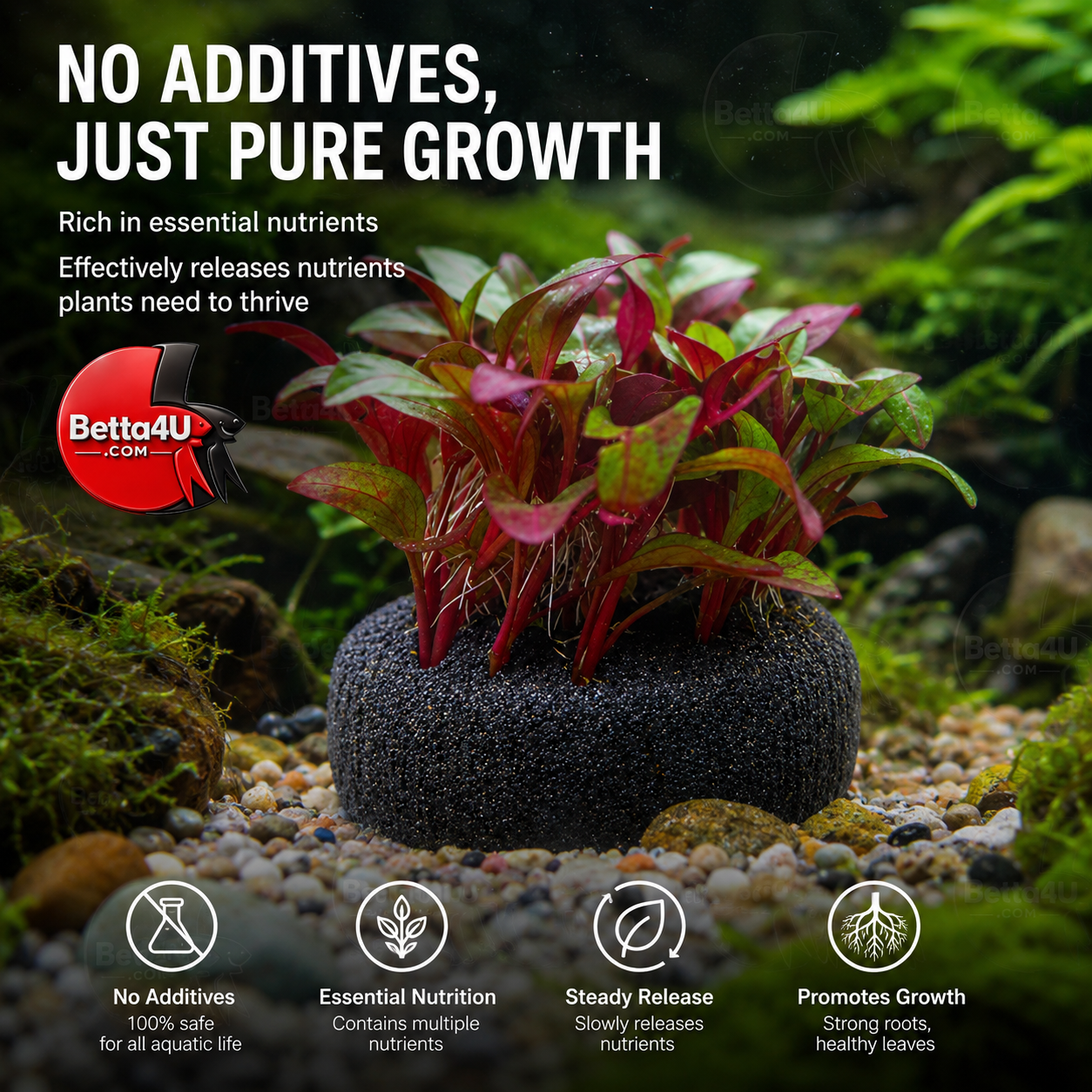 Aquatic Plant Planting Tablets: Powerful & Easy 4 Aquatic plant planting tablets. Plant rooting and planting base tablets for aquarium aquascaping