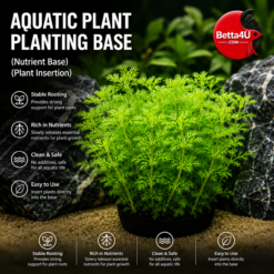 Betta4U.COM | Premium Betta Fish Products • Aquarium Care • Fish Health • Expert Knowledge 7 Aquatic plant planting tablets. Plant rooting and planting base tablets for aquarium aquascaping