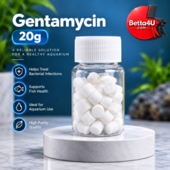Gentamycin 20g betta fish aquarium care
