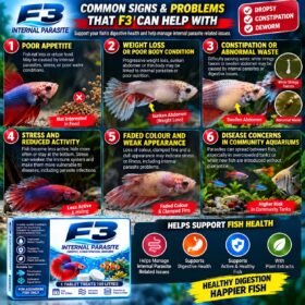 How to use F3 Internal Parasite Tablets in an aquarium