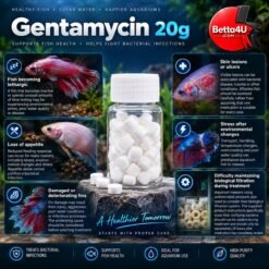 Gentamycin 20g betta fish aquarium care