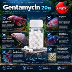 Gentamycin 20g betta fish aquarium care