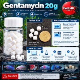 Gentamycin 20g | Powerful Aquarium Care Support 10 Gentamycin 20g betta fish aquarium care