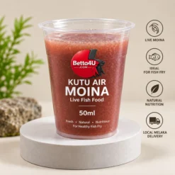 Kutu Air Moina 50ml live fish food for fish fry