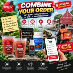 Wolffia Globosa watermeal, floating aquarium plant, natural fish food, Watermeal Malaysia Live Wolffia Globosa Watermeal floating aquatic plant for aquariums and ponds. saiz kecil Wolffia globosa tumbuhan paling kecil dunia Wolffia globosa terapung di permukaan air akuarium" "Watermeal sebagai makanan ikan betta" "Close-up tumbuhan Wolffia globosa hijau" "Kolam ikan dengan tumbuhan terapung wolffia" "Cara menjaga wolffia dalam akuarium kecil. Live Tubifex Worms Culture Pack with Soil 2kg – High Protein Fish Food Fresh Tubifex Worms – Best Live Food for Aquarium Fish Tubifex Worm Culture Starter – Grow Your Own Live Fish Food How to culture Tubifex worms – high-protein fish food for better growth. Kutu Air Moina 50ml live fish food for fish fry